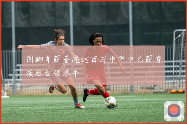 国脚年薪普遍达百万中甲中乙薪资接近白领水平