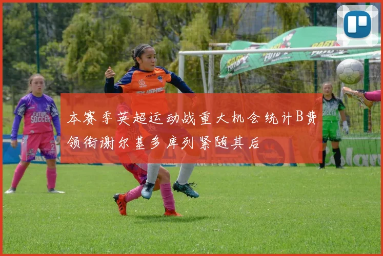 本赛季英超运动战重大机会统计B费领衔谢尔基多库列紧随其后